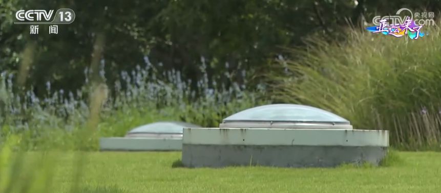 杭州亚运场馆玉琮油纸伞设计揭秘 绿色节能技术